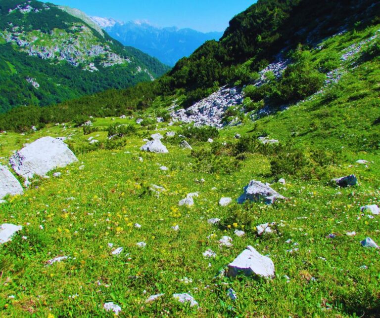 Beisetzung in den Schweizer Alpen